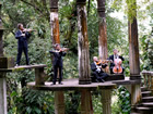 Cuarteto Latinoamericano